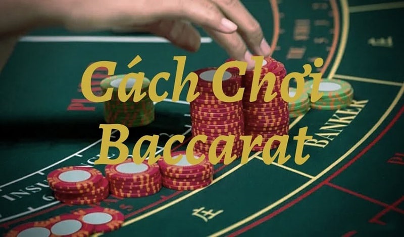 Bí kíp xây dựng cách chơi Baccarat cơm gạo đỉnh cao